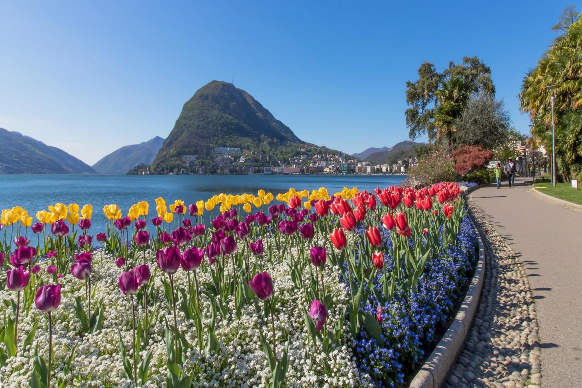 Love Of Lugano Exterior foto